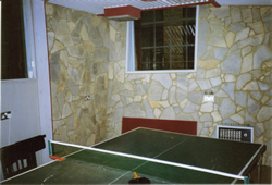 table-tennis-room-small